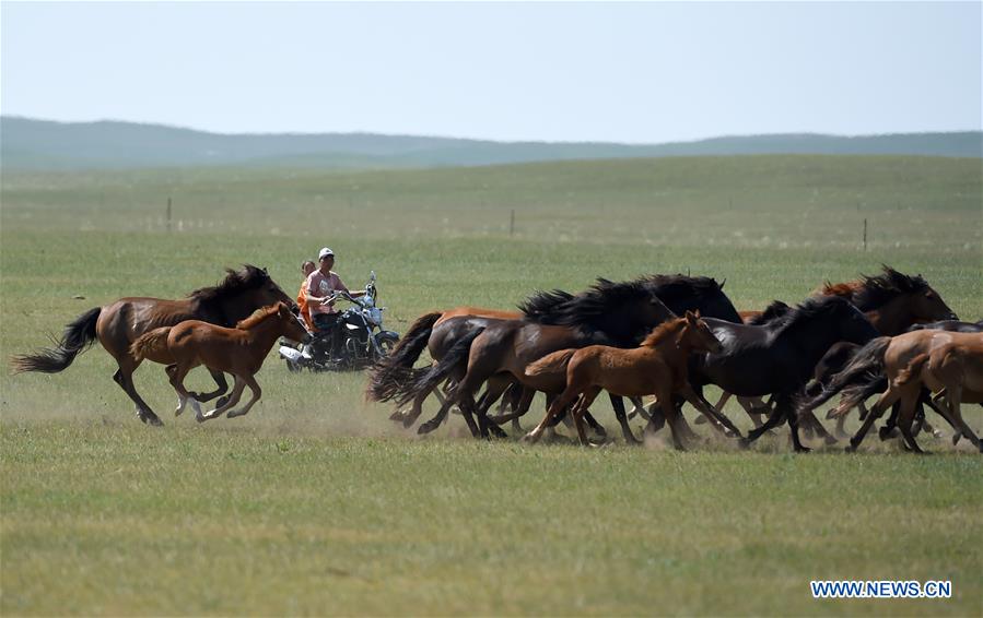 CHINA-INNER MONGOLIA-YOUNG JOCKEY-SUMMER VACATION (CN)