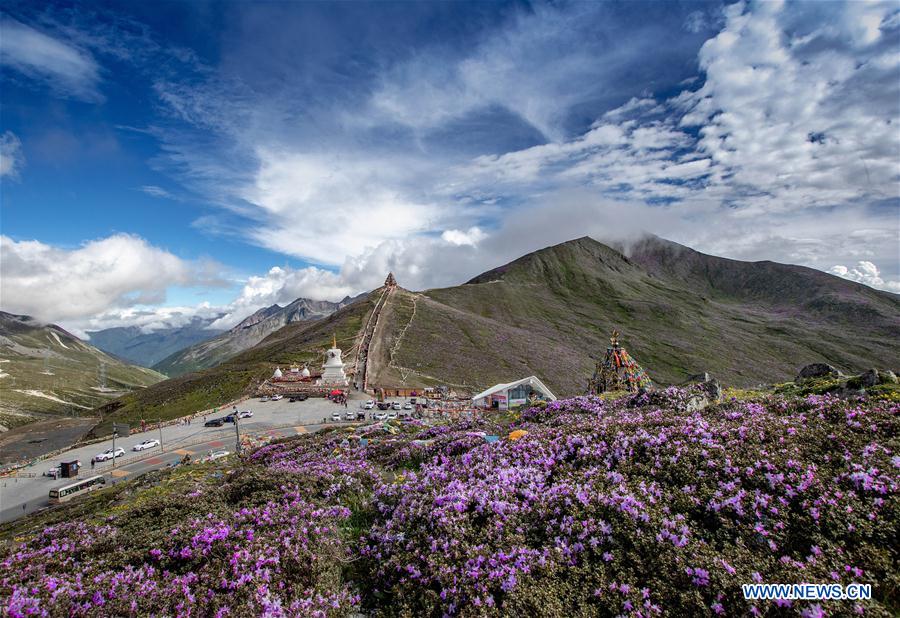 (EcoChina)CHINA-HORTICULTURAL EXPO-SICHUAN (CN)