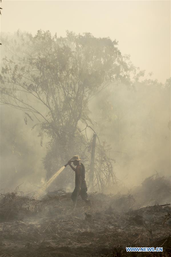 INDONESIA-RIAU-PEATLAND FIRE