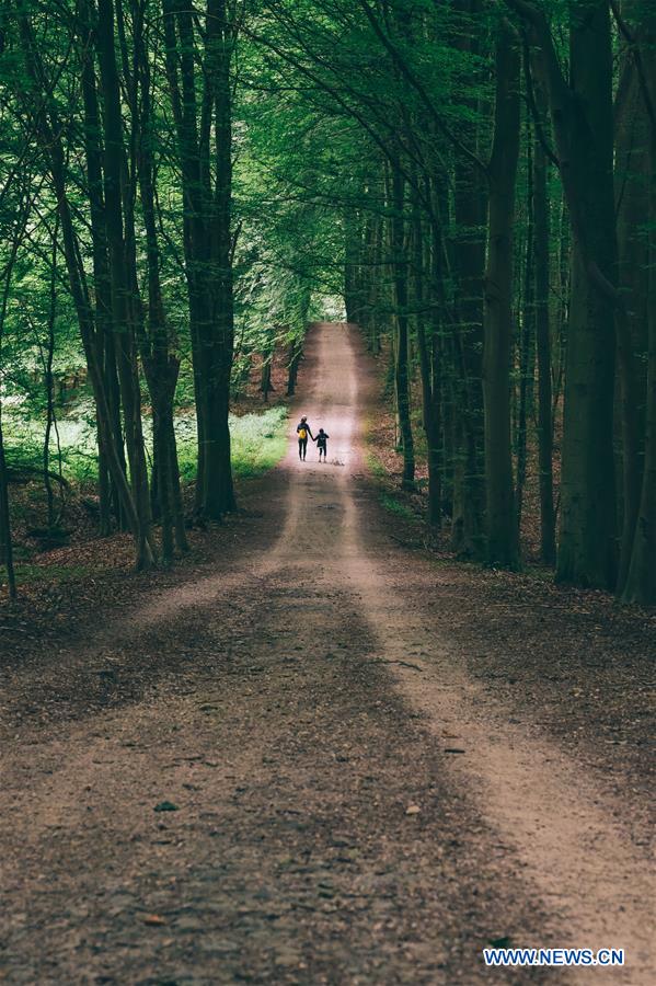 BELGIUM-BRUSSELS-SUMMER SCENERY