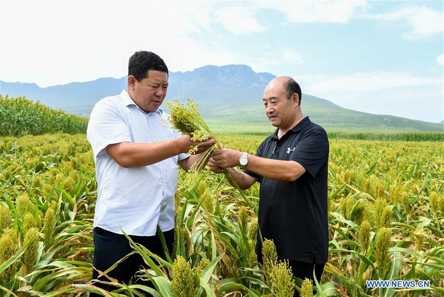 CHINA-INNER MONGOLIA-CHIFENG-BROOM INDUSTRY (CN)