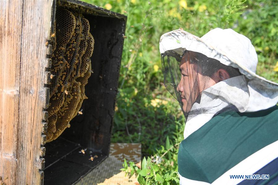 CHINA-HUNAN-XIANGXI-APICULTURE (CN)