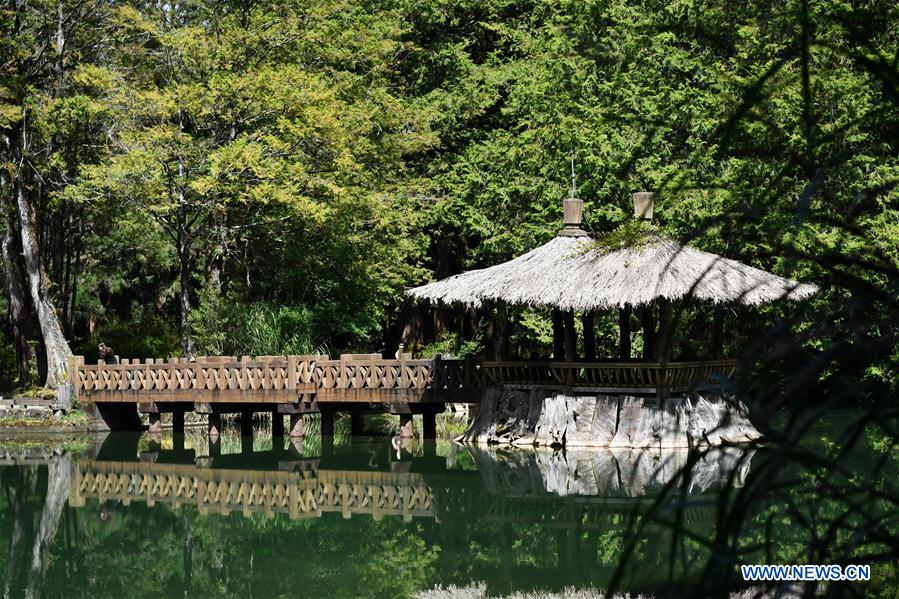 CHINA-ALI MOUNTAIN-AUTUMN SCENERY (CN)