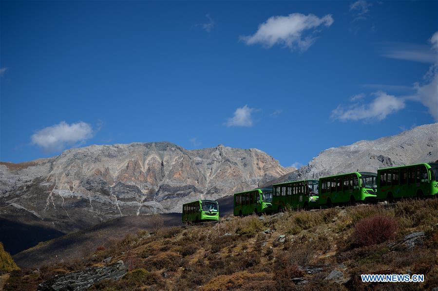 CHINA-SICHUAN-DAOCHENG- AUTUMN SCENERY (CN)