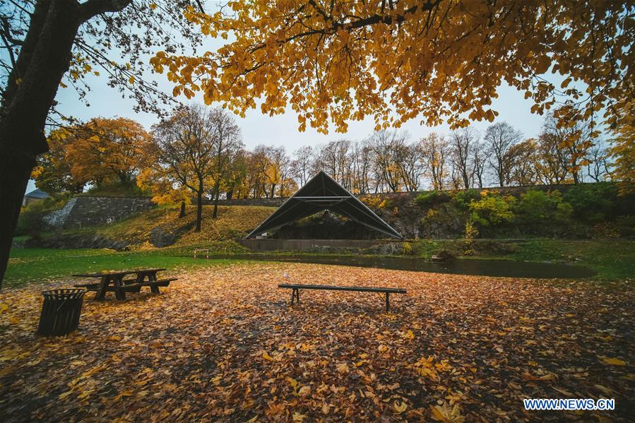 NORWAY-AUTUMN-SCENERY