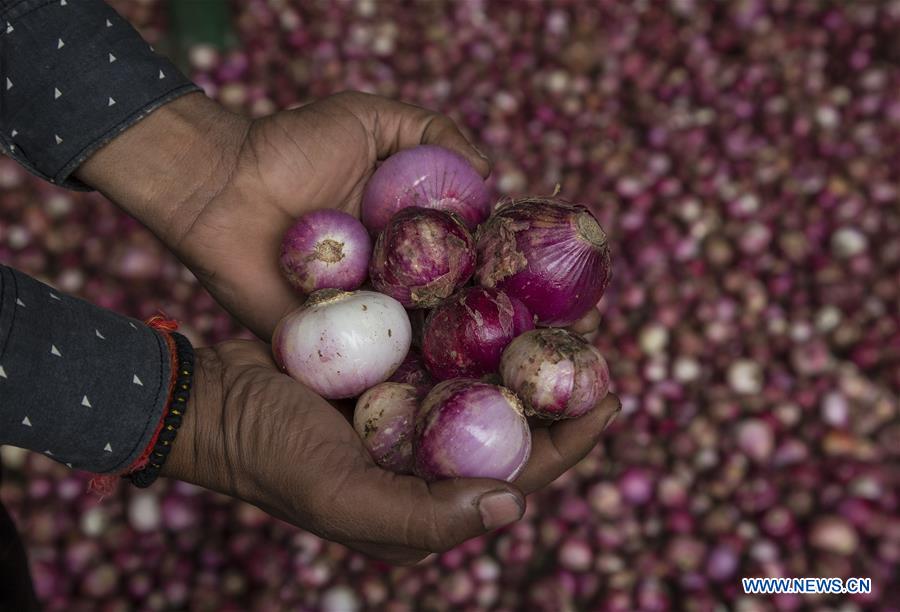 INDIA-NEW DELHI-ONION PRICES-INCREASE