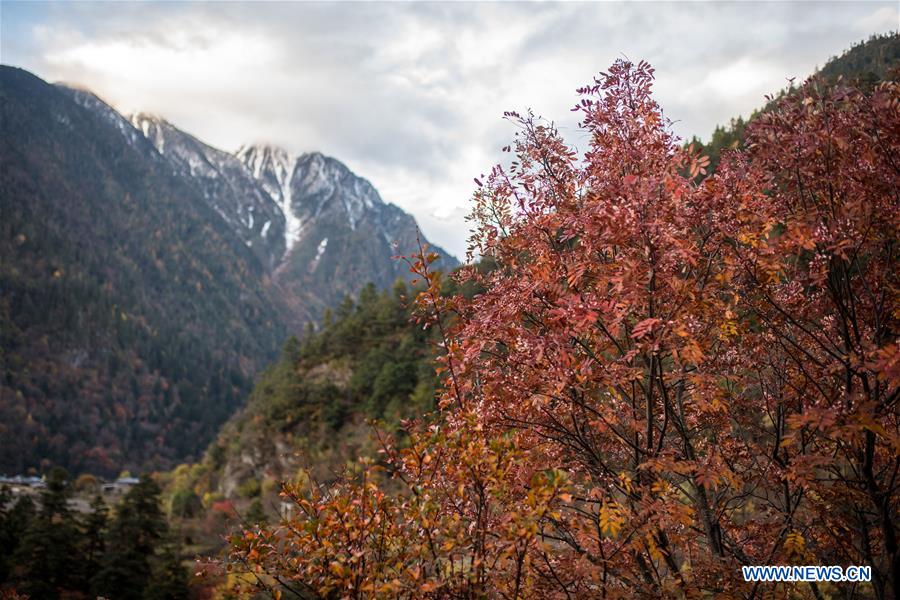 CHINA-YUNNAN-DEQEN-YUBENG VILLAGE-SCENERY (CN)