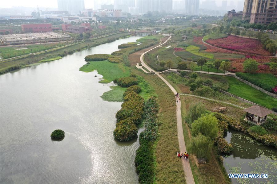 CHINA-GUANGXI-NANNING-WETLAND-SCENERY (CN)