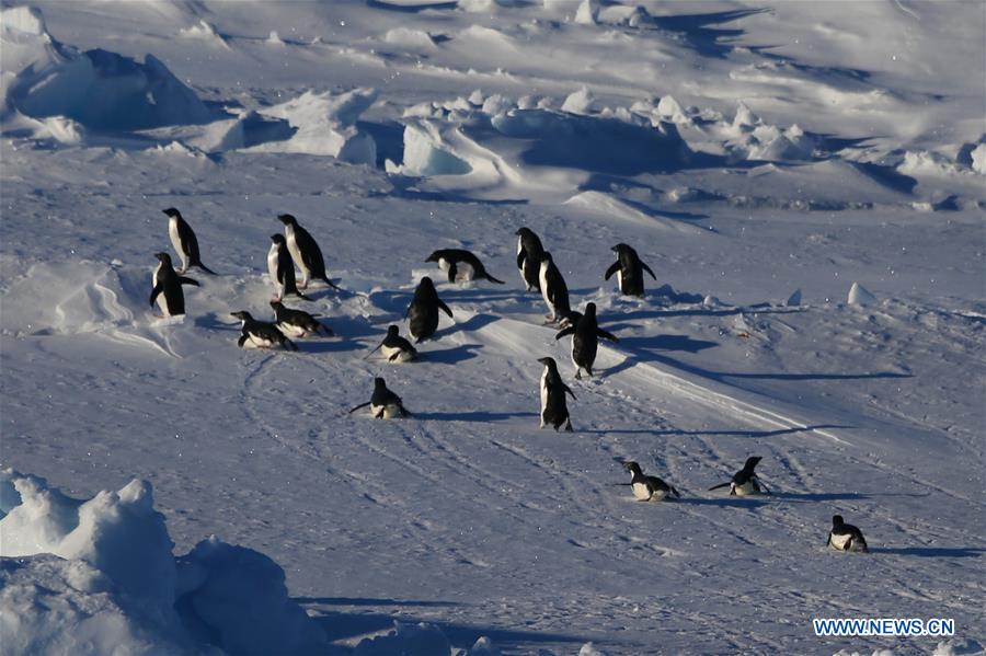 XINHUA PHOTOS OF THE DAY