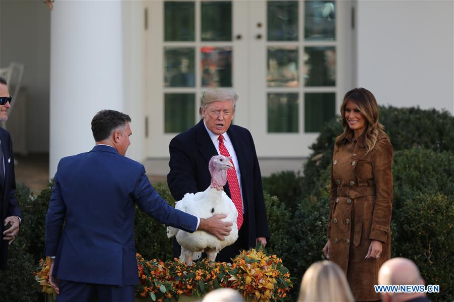 U.S.-WASHINGTON D.C.-TRUMP-THANKSGIVING TURKEY PARDONING CEREMONY