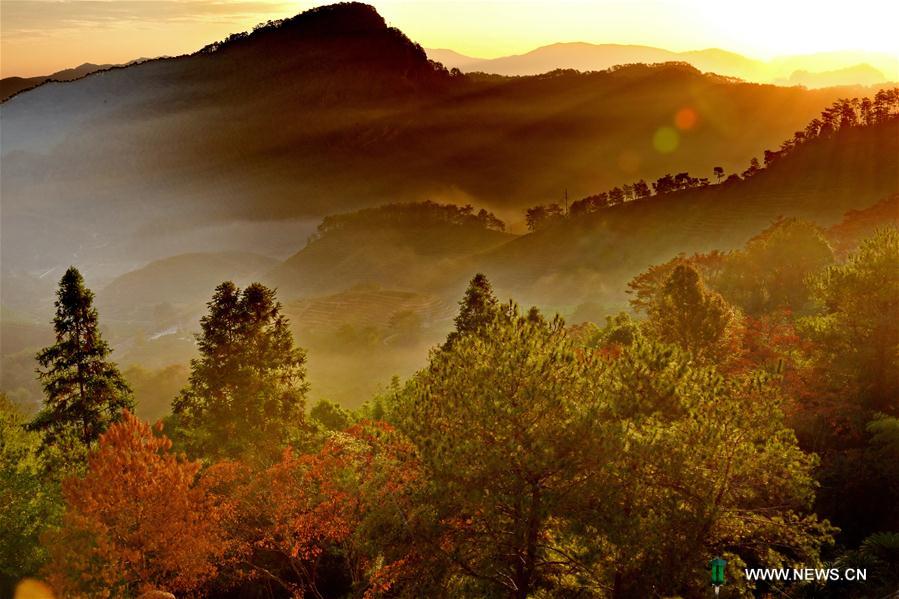 CHINA-FUJIAN-WUYI MOUNTAIN-SCENERY (CN)