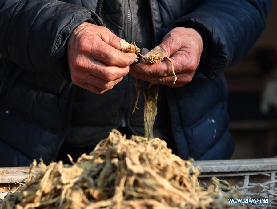 CHINA-SHAANXI-XI'AN-TRADITIONAL PAPERMAKING (CN)