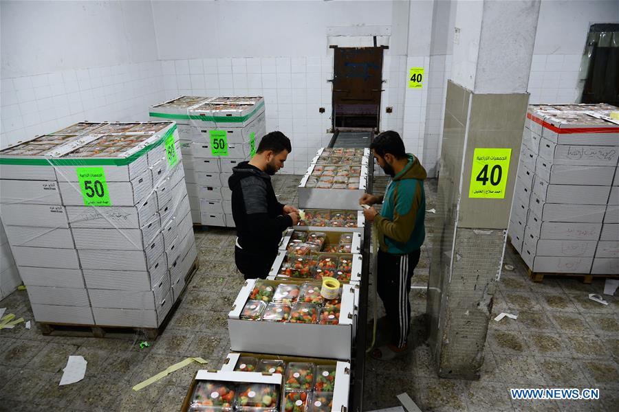 MIDEAST-GAZA-STRAWBERRY-EXPORT