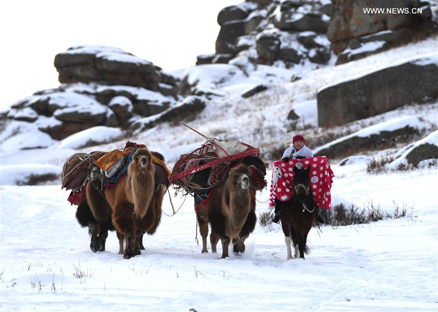 CHINA-XINJIANG-ANIMAL HUSBANDRY-FESTIVAL (CN)