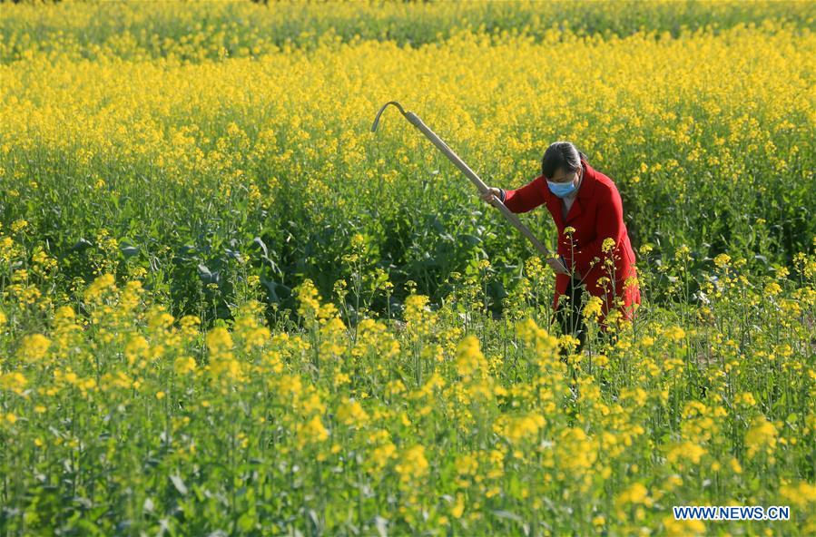 #CHINA-SPRING-FARMING (CN)