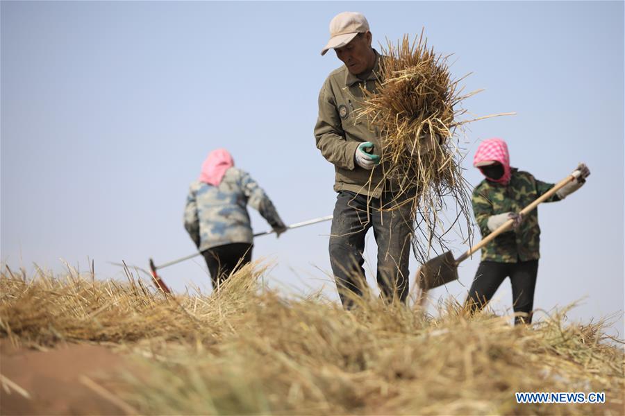 CHINA-GANSU-SPRING-DESERT CONTROL (CN)