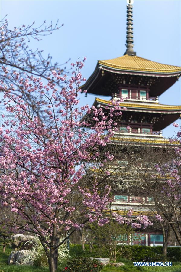 CHINA-HUBEI-WUHAN-SPRING SCENERY (CN)