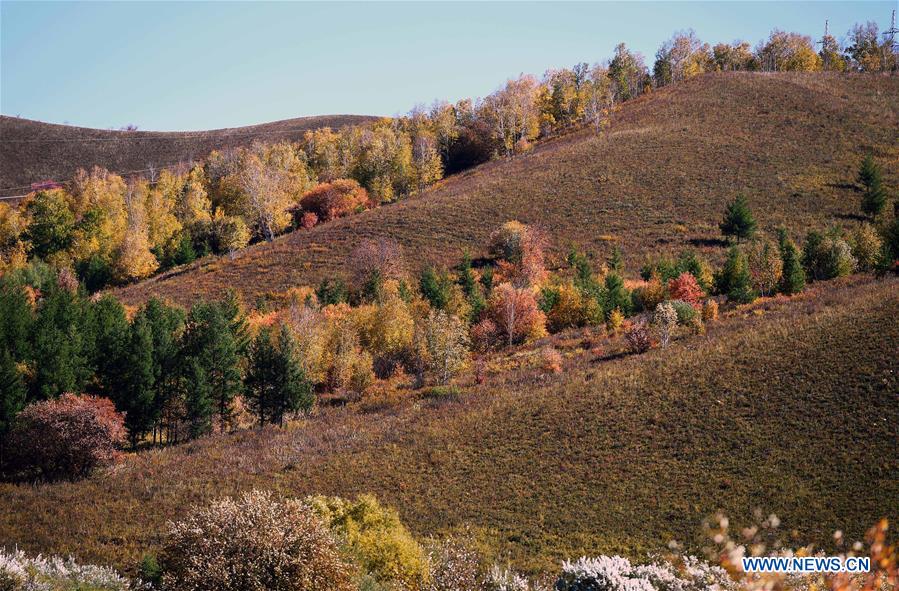 CHINA-INNER MONGOLIA-ARXAN-SCENERY (CN)