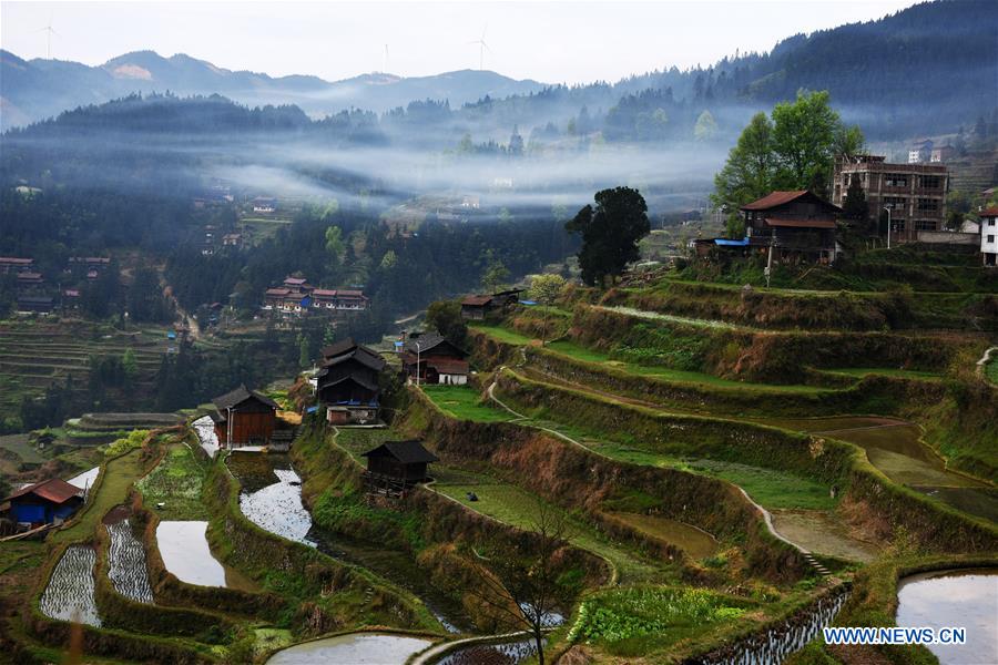 CHINA-GUIZHOU-JINPING-SPRING (CN)