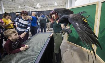 2019 Wildlife Festival held in Toronto, Canada