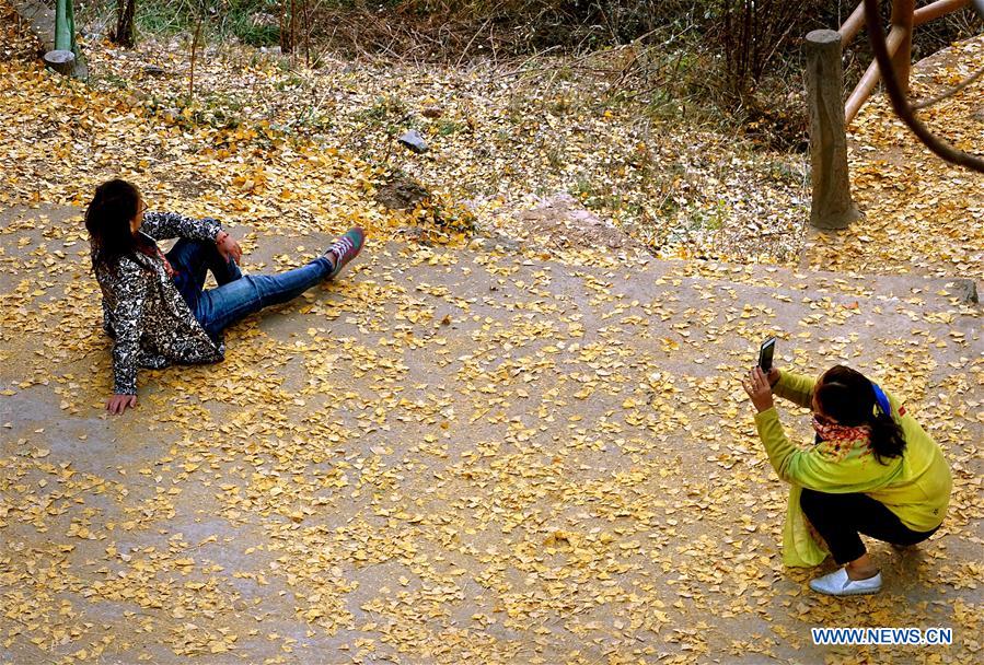 CHINA-HENAN-VILLAGE-AUTUMN SCENERY (CN)