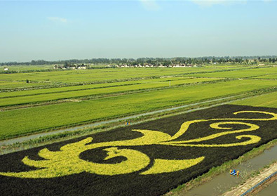 Economic Watch: Stronger financing to back China's green development path