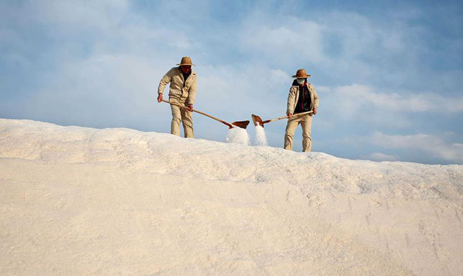 Workers collect crude salt at salt field in E China's Jiangsu