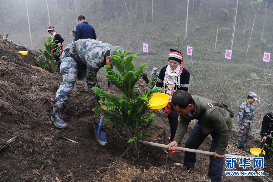 （图文互动）（6）和平年代，离死神最近的人——南部战区陆军云南扫雷大队边境扫雷排爆记事