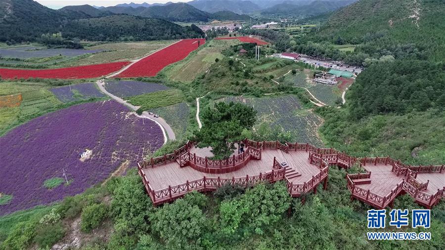 （十九大·读报告 话民生）（10）加快生态文明体制改革，建设美丽中国