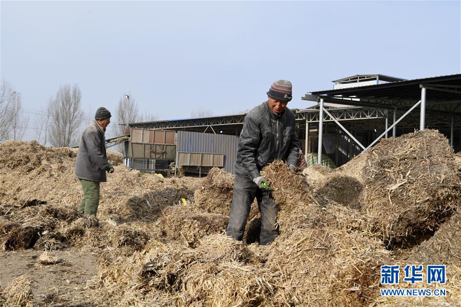 （在习近平新时代中国特色社会主义思想指引下——新时代新气象新作为·乡村振兴战略·图文互动）（2）“与其放火，不如打包”——山西浑源秸秆综合再利用见闻