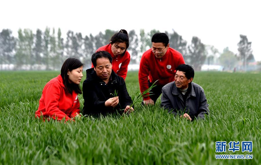 （爱国情 奋斗者·图文互动）（1） “解民生之多艰，育天下之英才”——中国农大师生扎根田野书写奉献之歌