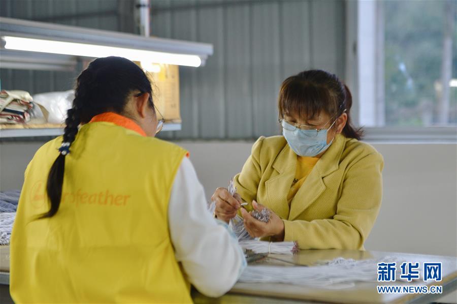 （图文互动）（2）人回乡、钱回流、企回迁——一个大石山区贫困县的返乡创业故事 