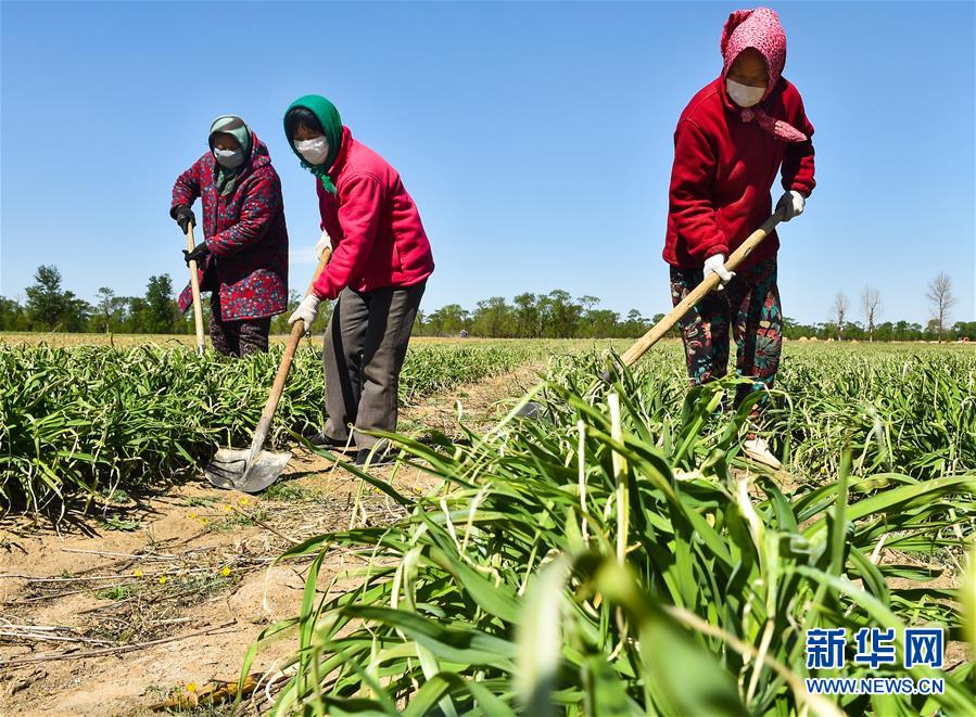 （新华全媒头条·图文互动）（17）从人民中汲取磅礴力量——习近平总书记同出席2020年全国两会人大代表、政协委员共商国是纪实