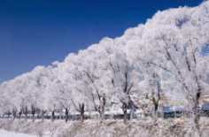 全国初雪时间表出炉 看看你离初雪还有多远？