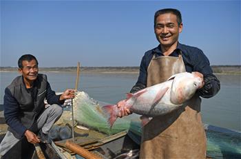 鄱阳湖：人欢鱼跃冬捕忙