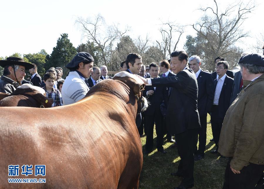 当地时间7月19日，正在对阿根廷进行国事访问的国家主席习近平参观共和国庄园，考察阿根廷农牧业，了解阿根廷农牧民文化特色。新华社记者马占成摄 